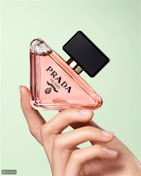 prada long parfum|prada paradoxe fragrantica.